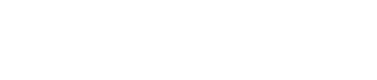 Navrátilova slivovica